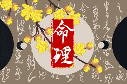 命盘推理,紫薇文墨天机排盘,查八字命盘详解,紫微盘免费查询,紫微十四主星详解